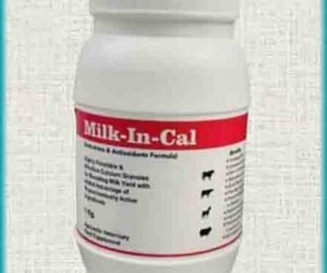 Milk-In-Cal